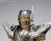 TAMASHII NATIONS Saint Seiya Cloth Myth EX Pegasus Seiya Seiya The 170mm PVC ABS Diecast Painted Movable Figure -Saint Beginning- Approx. & &