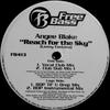 12-дюймовая пластинка ANGEE BLAKE - Reach For The Sky FB413 Free Bass 1997 US Танцевальная и Электронная Б/У