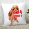 Pillowcase Cocker Spaniel  Modern Home Living Room Decoration