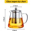 Glass Teapot with Removable Stainless Steel Infuser Borosilicate Glass Tea Pot with Strainer for Blooming Tea and Loose Leaf Te