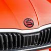 RBD4 For Skoda Yeti Octavia 2 3 a5 Fabia Kodiaq Karoq Superb Rapid S Car ABS 80/90/100mm Front Hood Badge Bonnet Emblem Trunk Sticker