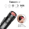 Lepro LED High 18650 and AAA Battery 5 Lighting with Ideal for Disaster Power and and Night Fishing Flashlight, Powerful, Military-Grade [LE2050,