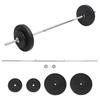 VidaXL Dumbbell Set with Plates 30 Kg, Free Weight, Dumbbell Set, Weight Plate Set, Plate of 93585
