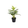 Plante d'Ornement - DKD Home Decor - Noir Et Vert - PVC - 25 X 25 X 30 Cm
