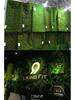 Artificial Green Moss for Wall Display and Bonsai Scenery