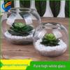 Handmade Thickened Transparent Glass Vase & Small Fish Tank for Hydroponics