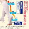 como life Cool feet feel refreshed General medical supporter M-L (1 pair included) beige General medical use feet calf supporter elastic stockings