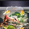 Acrylic Aquarium Floating Plant Corral Square Aquarium Food Ring  Pond Accessories