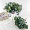 10pcs Direct Sales Simulated Eucalyptus Leaf Wedding Money Leaf Dining Table Flower Arrangement Artificial Eucalyptus Leaf Single Decorative