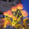 Solar-Powered Spider Lily Lanterns Outdoor LED Artificial Flower Ground Lights Waterproof Courtyard Ambiance Decorative Lights