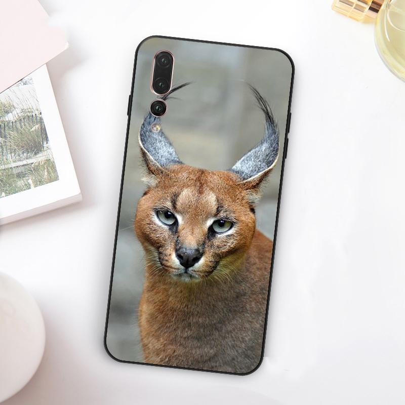 African Lynx Caracal Big Cat For Huawei Nova 5T 9 10 SE 7i 8i 11i 12i Y73 Y90 Y70 Y72 Y61 Y91 Y60 P20 P40 P30 Lite Case