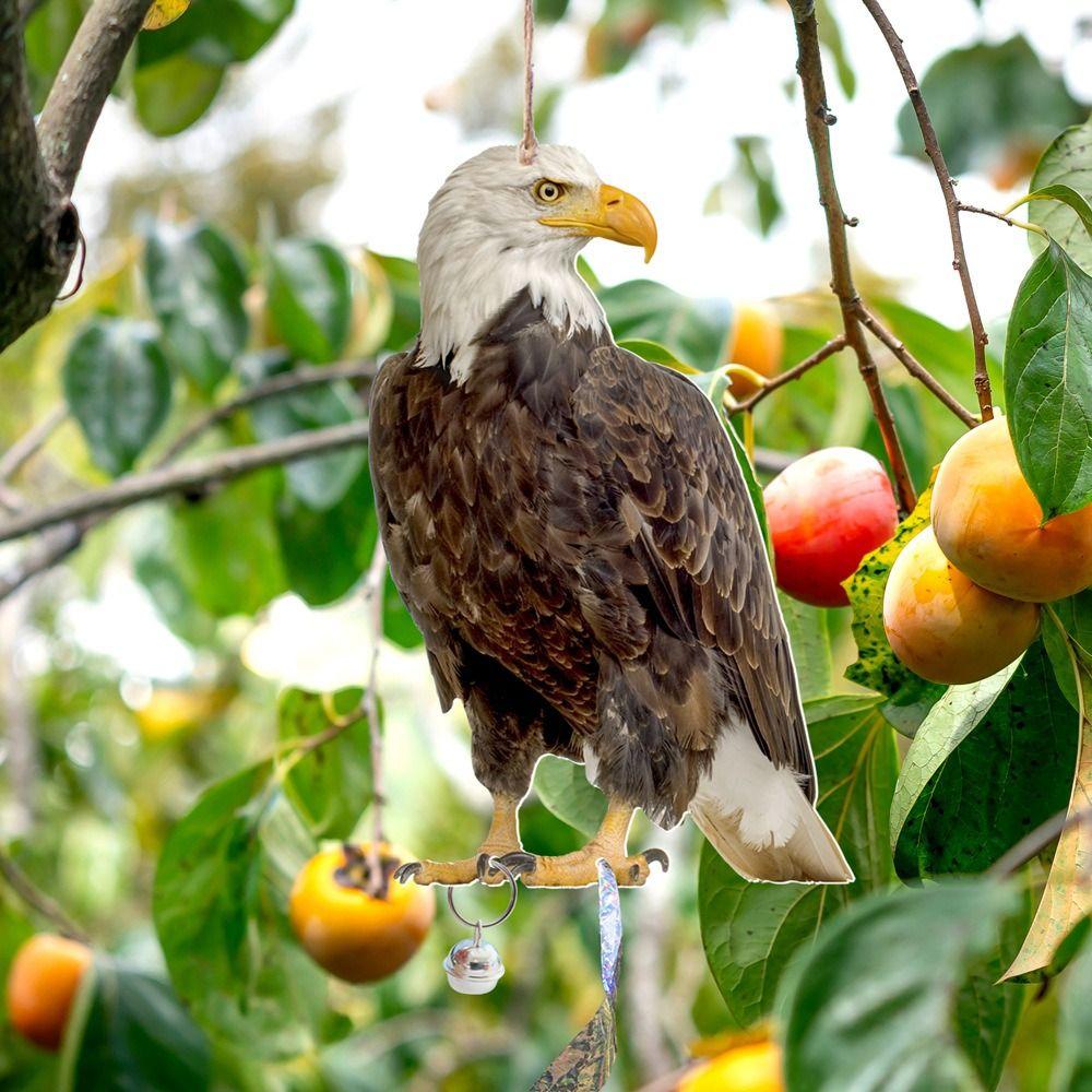Прямоугольное поддельное устройство для отпугивания птиц Водонепроницаемый отпугиватель птиц Отпугиватель птиц Совы Пугало для балкона
