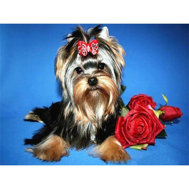 DIY 5D Алмазная картина Собака Вышивка крестиком Алмазная вышивка Продажа Животное Мозаика Стразы Фотографии