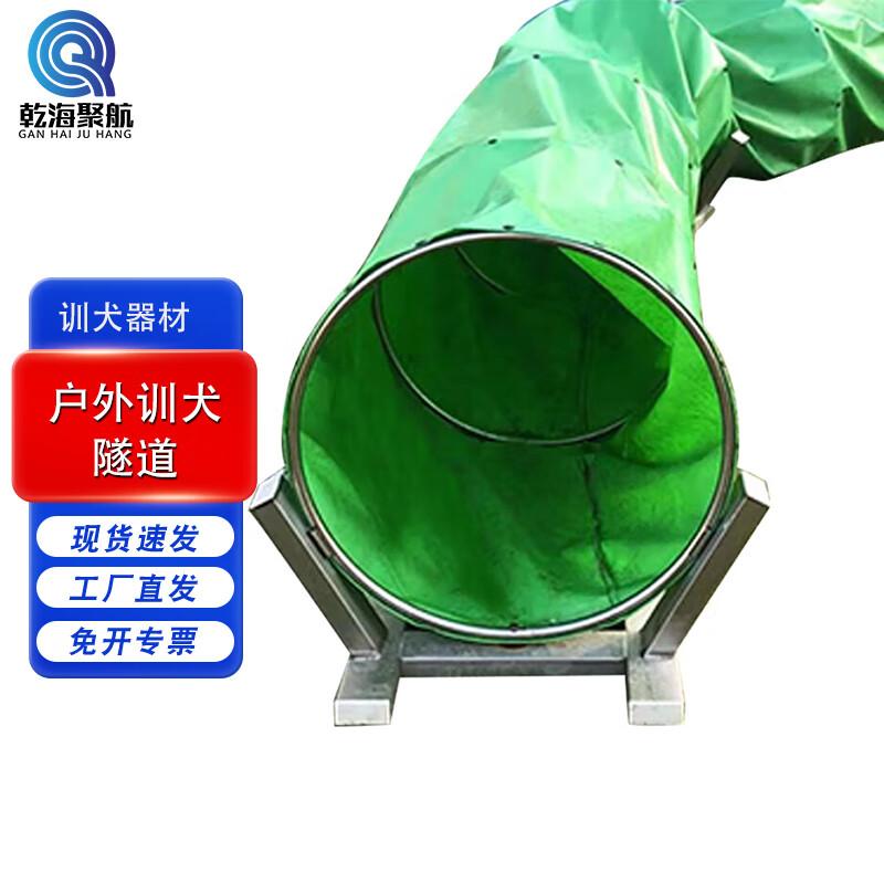 Professional Outdoor Dog Training Equipment