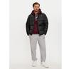 Пуховик Ellesse Caloroso SHR17526 черный Regular Fit