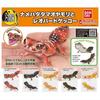 Иллюстрированная энциклопедия существ Repti Namehadatamao Gecko и Leopard Gecko x All 5 Types Set Full Comp Gacha Gacha Capsule Toy