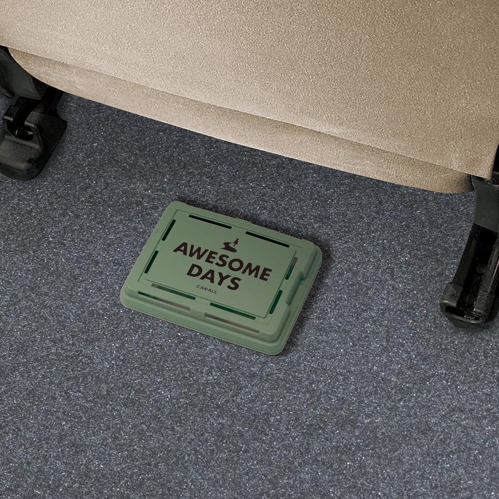 CARALL Seikodo Автомобильный освежитель воздуха Awesome Days Box [Лесное сияние]