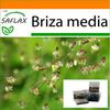 Garden In the Bag - Quaking Grass - 75 Seeds - With Substrate In a Fitting Stand Up Bag - Briza Media