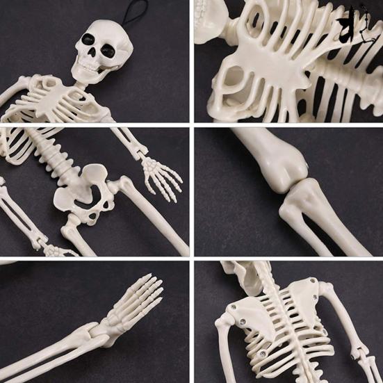 Хэллоуин скелет фигурка 5 шт 16 дюймов полное тело подвижные суставы кость статуэтка жуткий