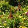 Двойной колокольчик Садовый кол Коллекция деревенских ветряных колокольчиков Искусство для двора Наружный железный кол с ветряным колокольчиком для газона двора патио садовой дорожки