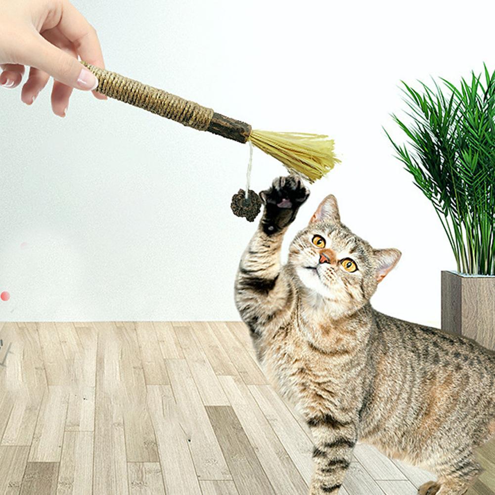 Кошачья игрушка-грызунок для здоровья зубов Натуральная серебряная ротанговая палочка с разными вкусами Контроль комков шерсти Чистка зубов для всех возрастов