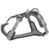Harnais Pour Chien - TRIXIE - Premium Active - Noir - Réglable - Confortable