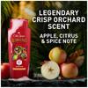 OLD SPICE ГЕЛЬ ДЛЯ ДУША BEARGLOVE 16 унций 473 мл Гель для душа Мыло для тела для мужчин Bear Glove [Официальный импорт] [OSS] (с японской этикеткой)