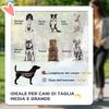 Folding Dog Stroller with Zippered Entrances and Mesh Windows, 112x65x100 cm, Dark Grey and Black
