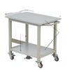 Mobile Anti-Static Workbench with Wheels | Workshop Trolley | Operating & Inspection Table | Packing Station