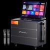 Shanshui Portable Outdoor KTV Speaker System