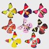 Flying Magic Butterfly - New and Unique Magic Toy Collection