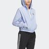 Adidas Graphic Woven Jacket With Pure Color Logo And Casual Hood Women Jacket Light-Pink Blue HY2858