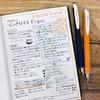 Zebra Sarasa Nano Gel Ballpoint Vintage Pen, Color, 0.3mm, 10-Color Set, P-JJH72-VI10C-AZ