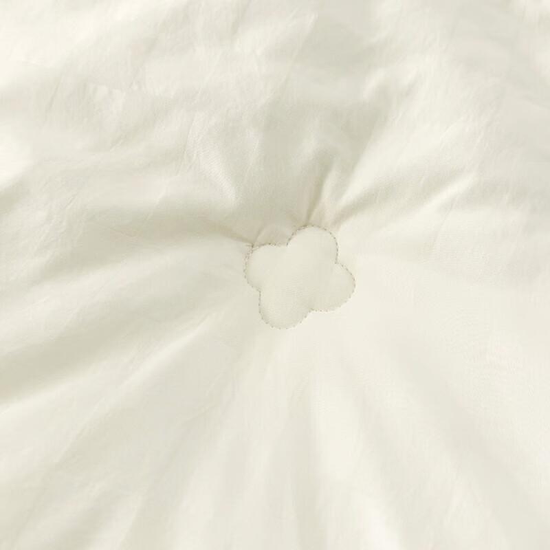 Nan Fang Sheng Huo Silk Protein Jacquard Winter Quilt