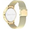 Calvin Klein TIMELESS MESH 25200003 Watch