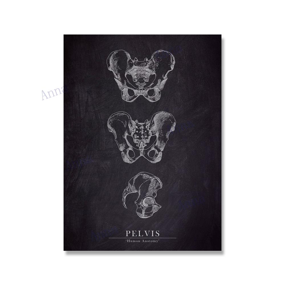 Muscle Foot Bone Heart Anatomy Skeleton Wall Art Canvas Painting Nordic Posters And Prints Wall Pictures For Doctor Office Decor