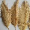 Beautiful Golden Ostrich Feather 10 Pcs Feather Length 6 -8 Inches /15 -20 Cm Diy Wedding Costumes And Hat Decorations