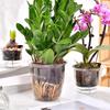 1pcs Transparent Self Watering Plant Pot Self Watering Planter Pot Flowerpot  Indoor Plants