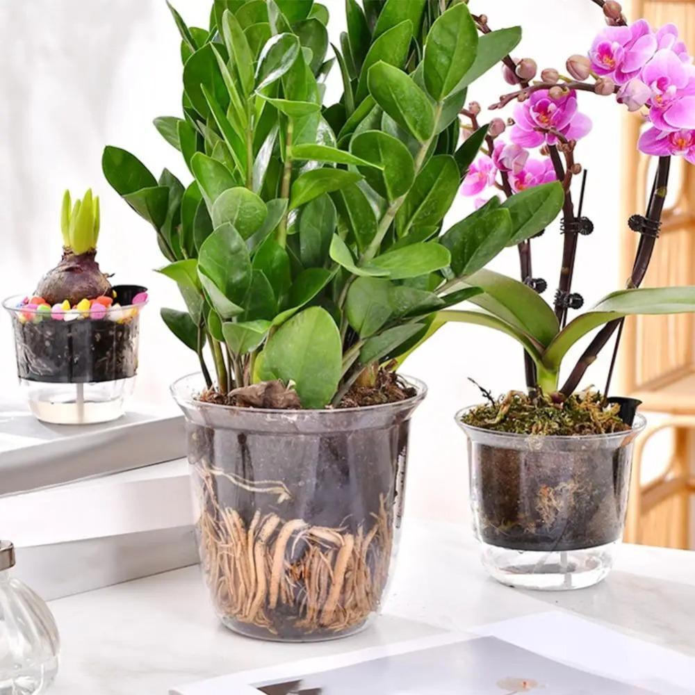 1pcs Transparent Self Watering Plant Pot Self Watering Planter Pot Flowerpot  Indoor Plants