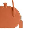 Coach 22 Однотонная тисненая логотип Nameplate Слот для карт Застежка-молния Форма тыквы Кожаная сумка через плечо Маленькая CU868-B4UC8