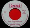7-дюймовая пластинка JUNIOR BYLES - Beat Down Babylon ORC712 Orchid UK 1972 UK Reggae, Ska & Dub Used