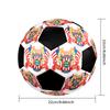 1PC Brno logo size 5 soccer ball PrahaIndoor Soccer Ball Colorful All Ages Machine Stitched PVC Competition Ready Durable High-Bounce