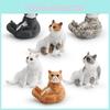 Cat Realistic Pvc Model Ornament For Kids Playroom Decor And Educational