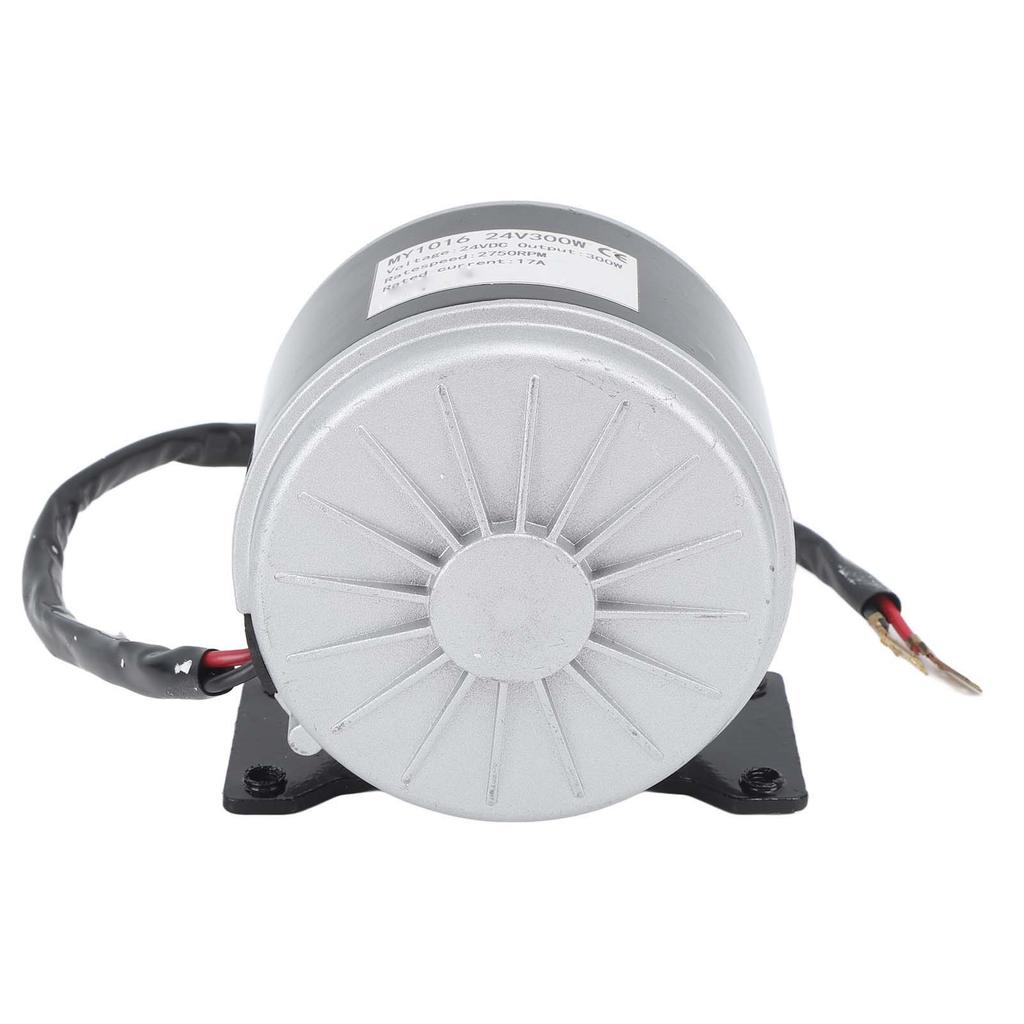 24V 300W High Speed Motor Finger Throttle Controller Freewheel 55T25H Chainring 146 Link Chain with Connector