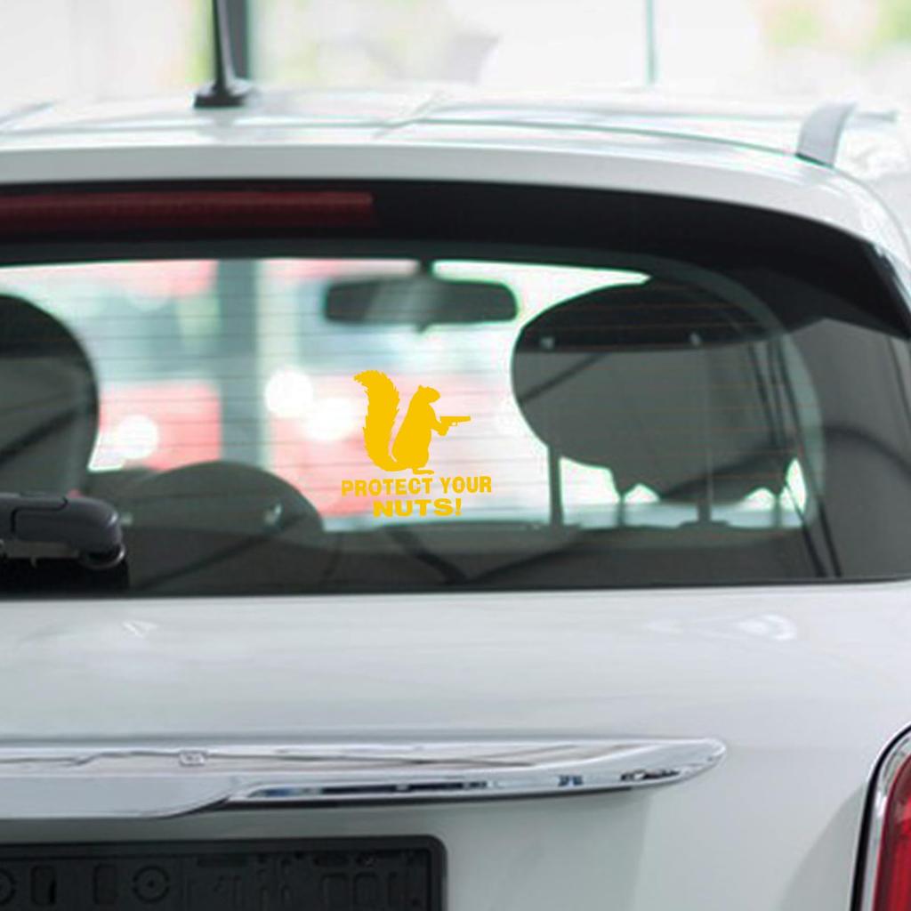 Fonney Protect Your Nuts Sticker, Protect Your Nuts Squirrel Bumper Sticker | Funny Die