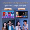 Портативная система караоке KTV SANSUI W200, штепсель CN (адаптер в комплекте)