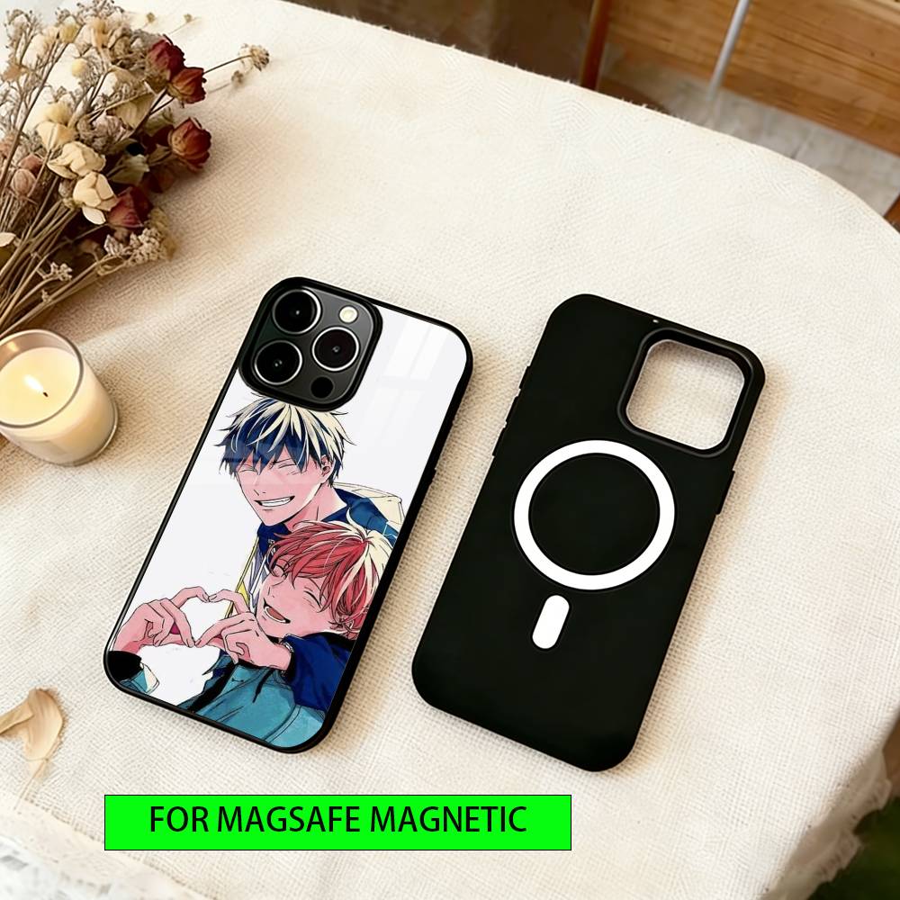 Given Phone Case For iPhone17,16,15,14,13,12,11 Plus,Pro Magnetic with Magsafe Wireless Charging