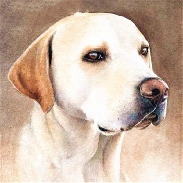 50X50CM 5D алмазная живопись полная квадратная собака Алмазная вышивка животные вышивка крестиком ремесленная художественная распродажа украшение дома