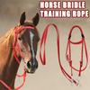 Adjustable Strap Horse Bridle Headband Horse Bridle Training Rope  Horse Training Accessories