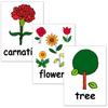 English Word Cards Flashcards, (Plants) A5 Size